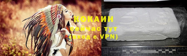 индика Новозыбков