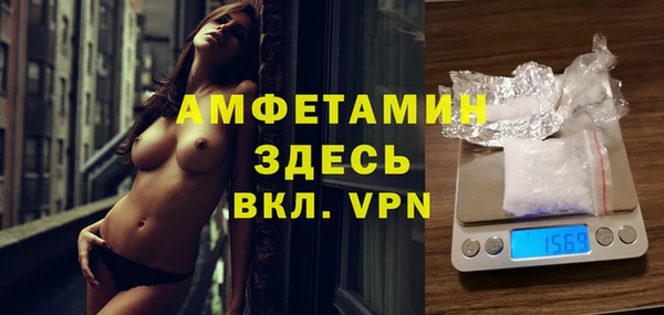 индика Новозыбков