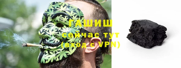 индика Новозыбков