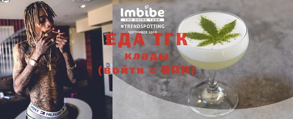 индика Новозыбков