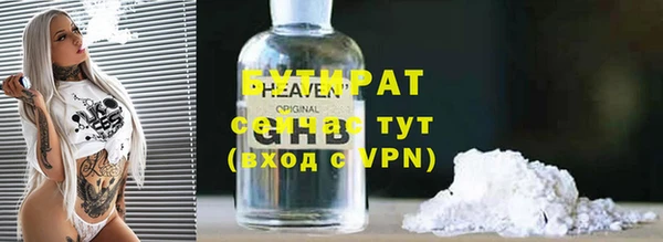 индика Новозыбков
