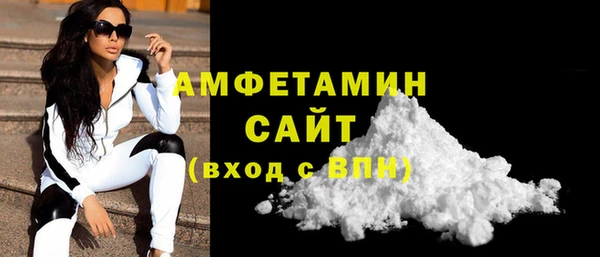 индика Новозыбков