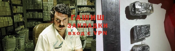 индика Новозыбков