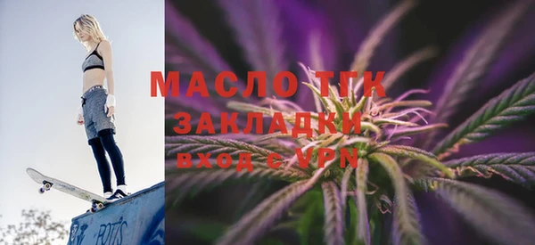 индика Новозыбков