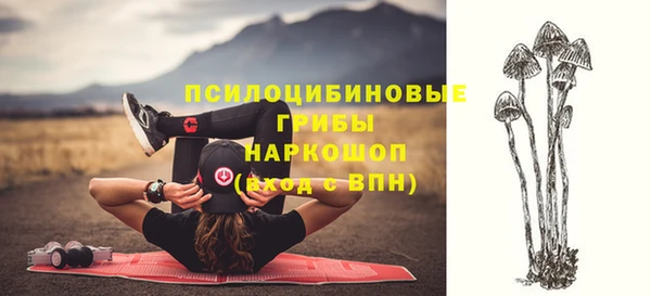 прущие крисы Новодвинск