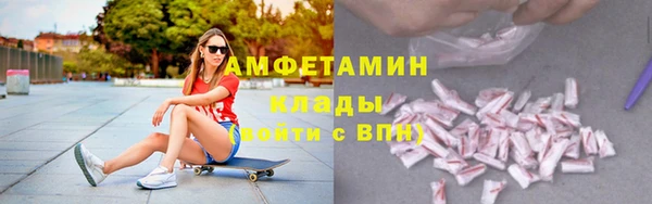 индика Новозыбков