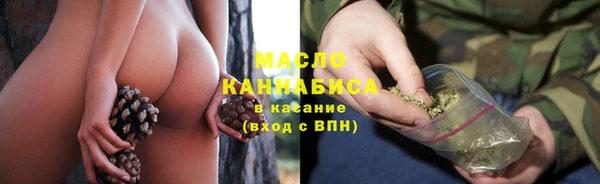индика Новозыбков