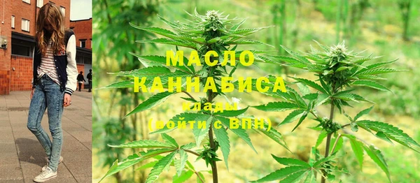 индика Новозыбков