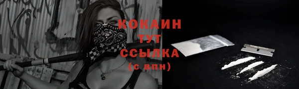 молекула духа Новокубанск
