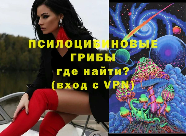 молекула духа Новокубанск