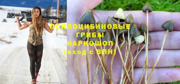 прущие крисы Новодвинск