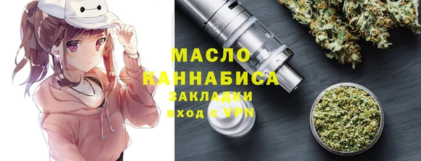 индика Новозыбков