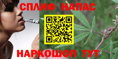 первитин Дубна