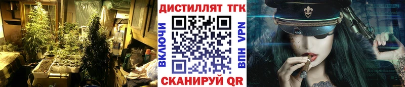 ТГК Wax  Кохма 