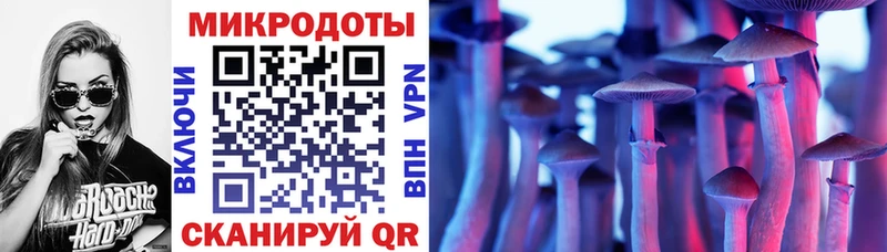 закладки сайты даркнета какой сайт Псилоцибиновые грибы мицелий Кохма