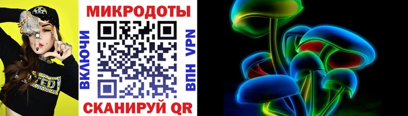 Галлюциногенные грибы Psilocybine cubensis Кохма
