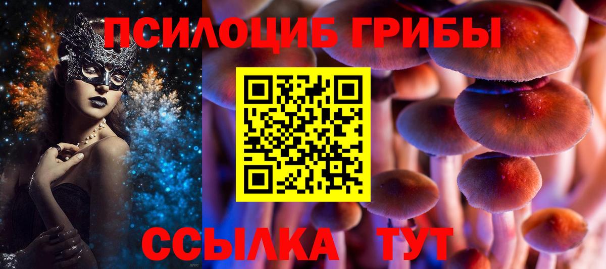 Кохма  Галлюциногенные грибы Psilocybine cubensis  Вход с VPN 