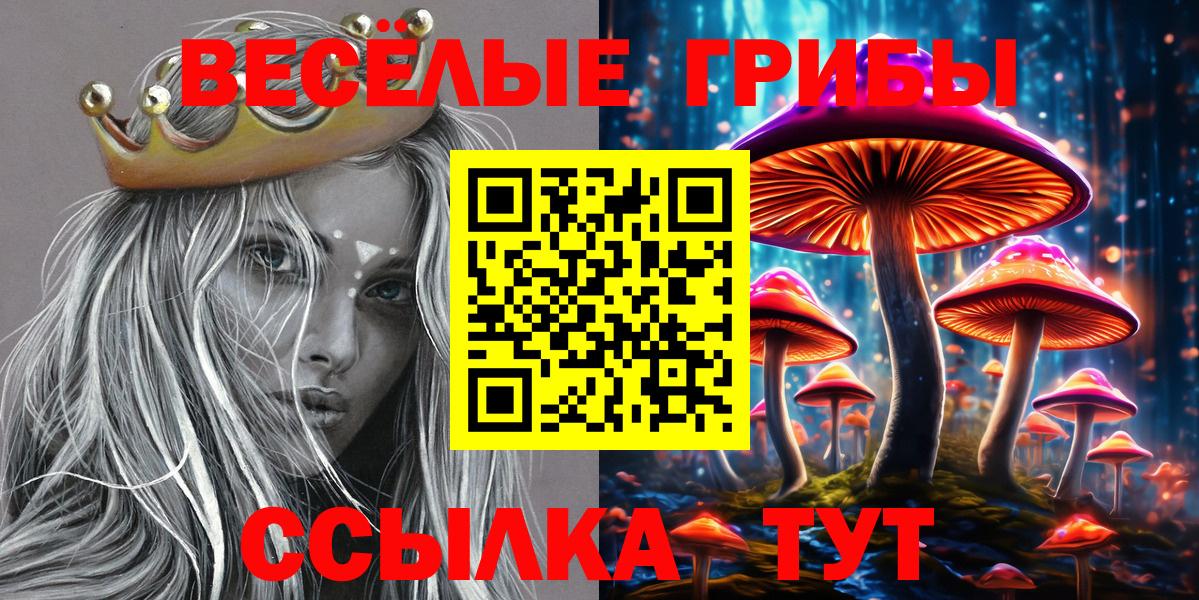 Псилоцибиновые грибы Psilocybe Кохма