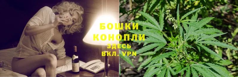 МАРИХУАНА SATIVA & INDICA  Кохма 